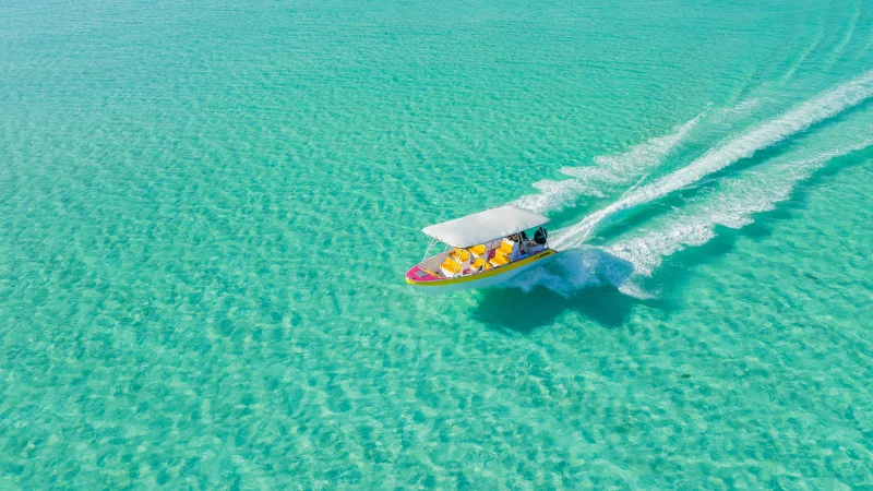 Snorkeling dans le lagon de Bora Bora — tour partagé