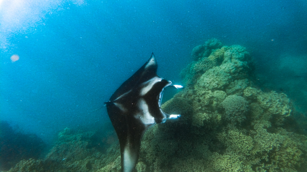Tour panoramique Bora Bora — vue aérienne du lagon turquoise et du Mont Otemanu